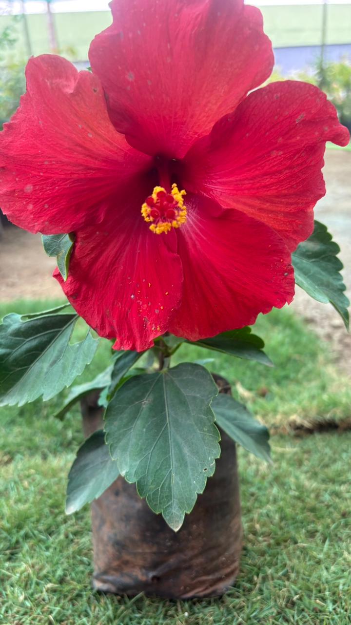 WhatsApp Image 2026-01-14 at 1.44.49 PM